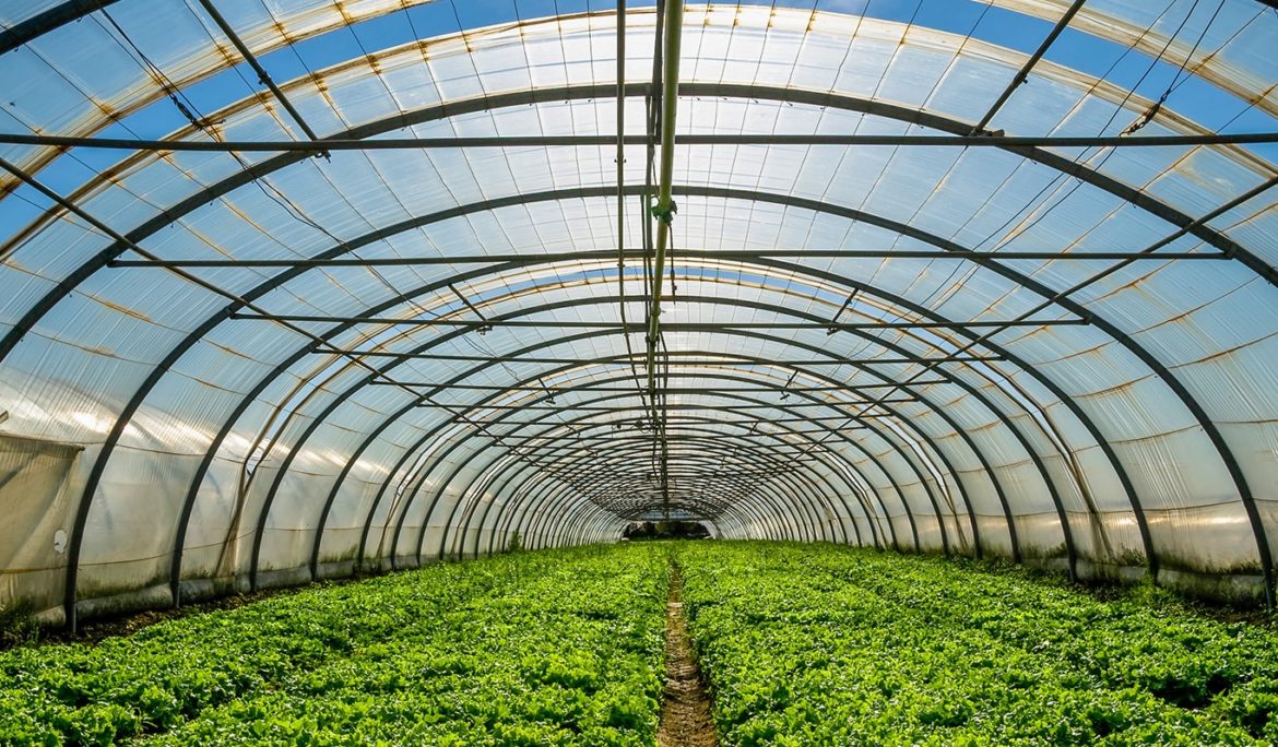 Avicanna Acquires Majority Interest in Colombian Cannabis Cultivator