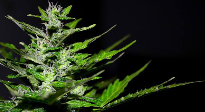 3 Cannabis Companies Discuss Emerging Market Opportunities