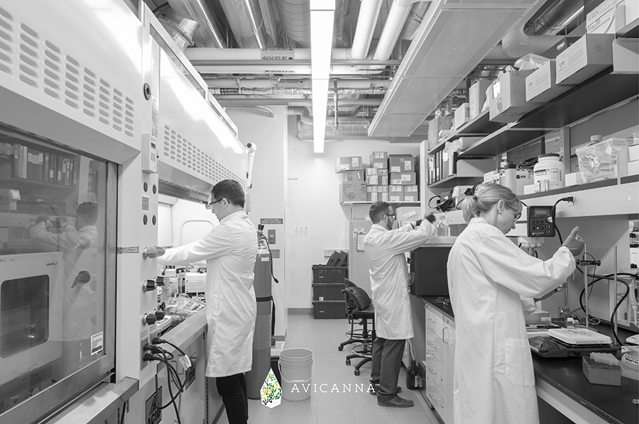 Avicanna Strengthens Position as a Canadian Leader in Cannabinoid R&D Through University of Toronto Collaboration & University of Guelph Agreements