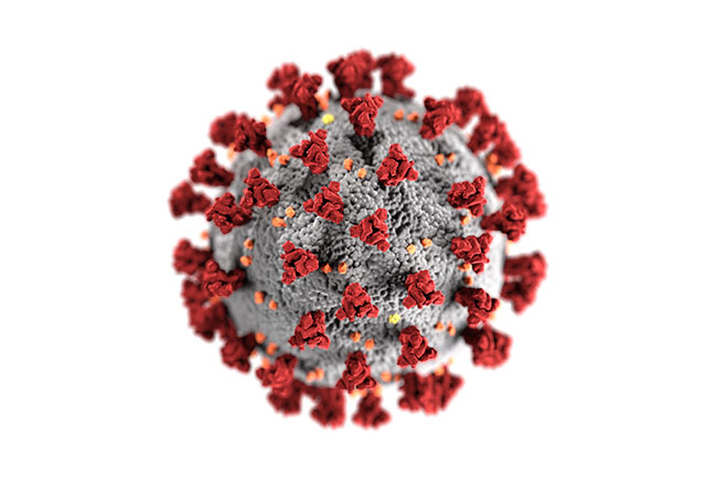 Avicanna announces the award of two Canadian government NSERC grants: 1) Cannabinoid-based pharmaceutical formulations for the treatment of COVID-19 in collaboration with the University of Toronto; and, 2) Evaluation of cannabinoids for reversing cannabis-based toxicosis in collaboration with the University of Guelph